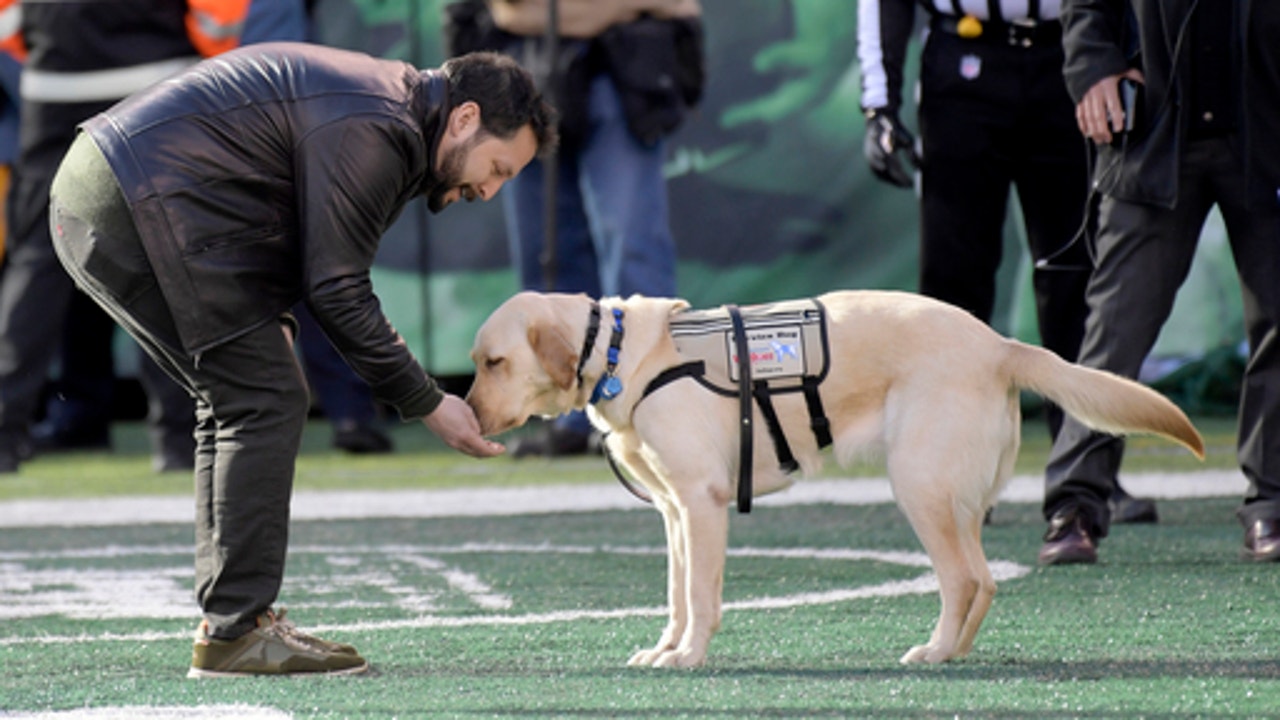 Army veteran and man's best friend unite at NFL game
